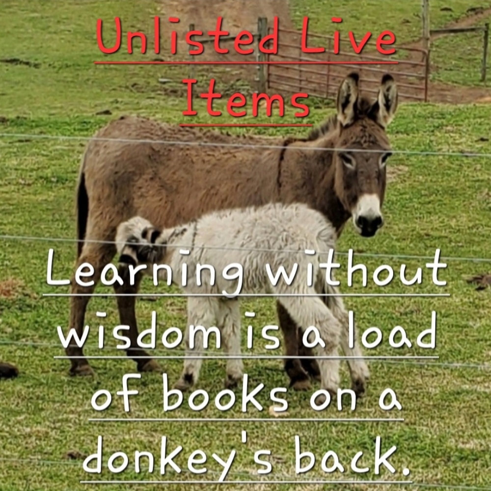 Unlisted Items